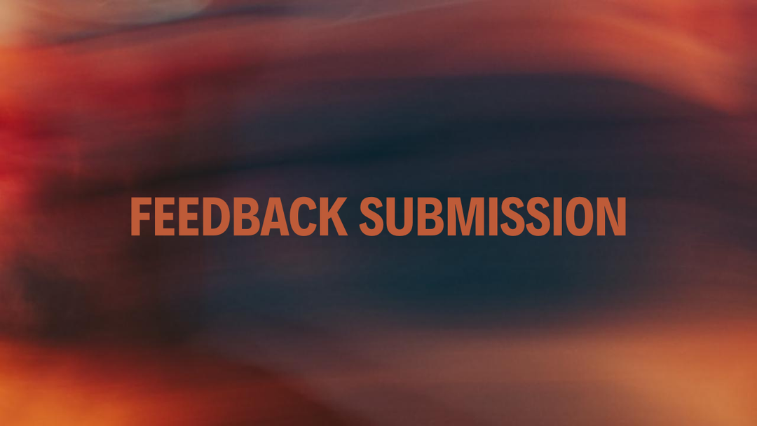 Feedback Submission